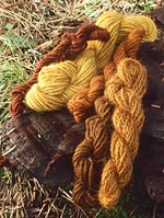 Yarn dyed from Phaeolus schweinitzii