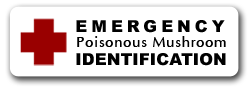 Emergency mushroom identification